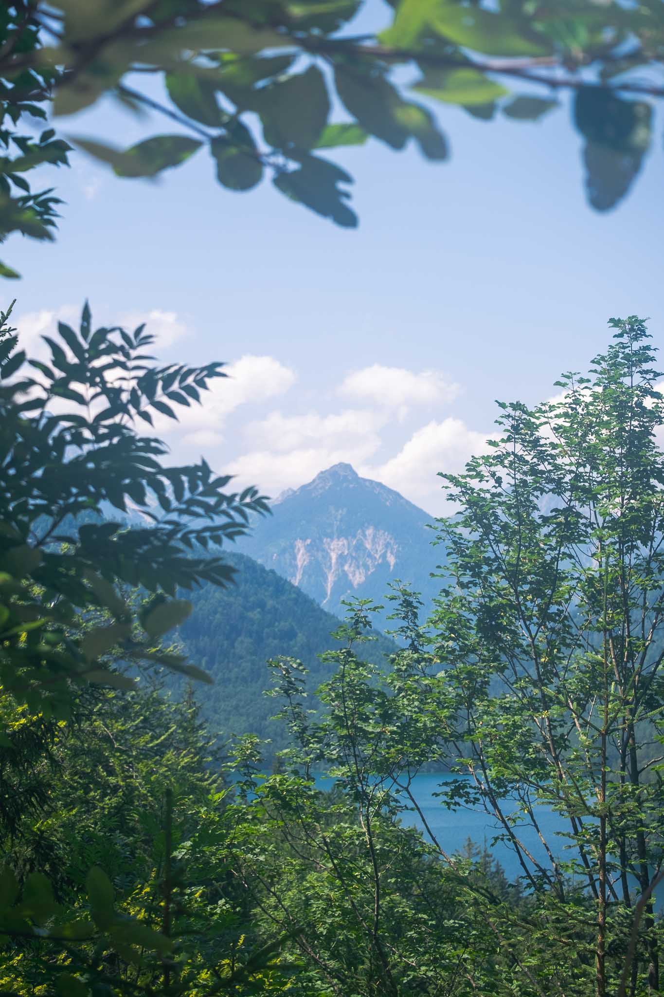 Neuschwanstein Castle